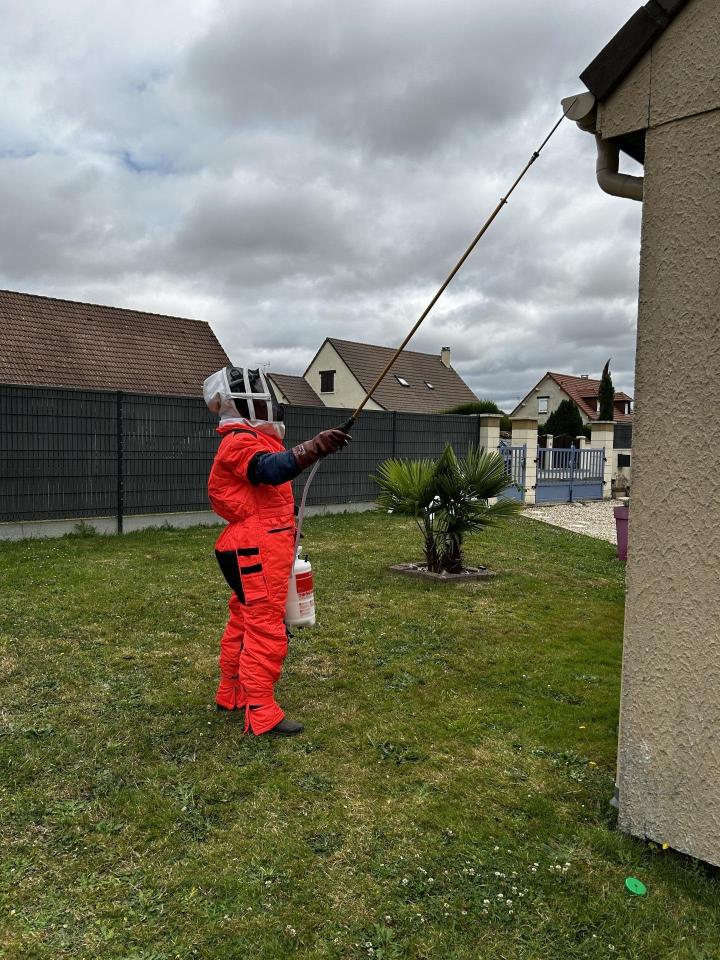 Spécialiste de l'hygiène à Limay